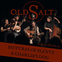 Old Salt - Pastures of Plenty / Charlie's Dog (Live)