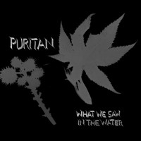 Puritan - What We Saw in the Water