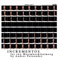 Andres Fernandez - Incrementos for Two Marimbas & Animoog: I.