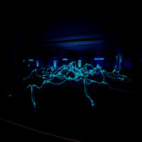 Impatient - WIRED (Explicit)