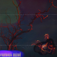 curious mind - help me