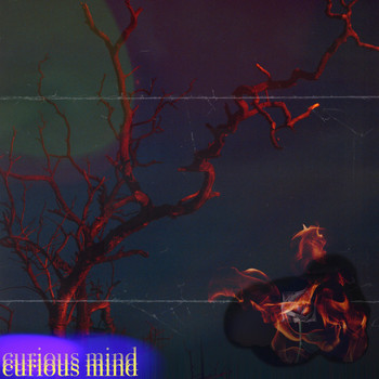 curious mind - help me