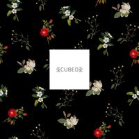 CUBED - ikari (intro)