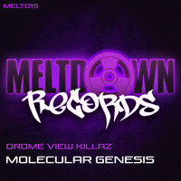 Drome View Killaz - Molecular Genesis