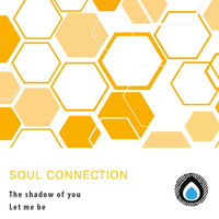 Soul Connection - The shadow of you