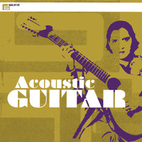 Claude Perraudin - Acoustic Guitar