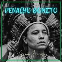 Gama Junior - Penacho Bonito