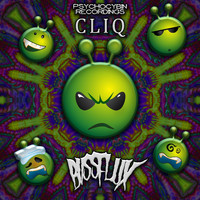 BVSSFLUX - CLIQ