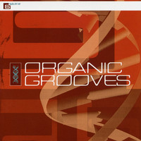 Lyonel Bauchet - Organic Grooves