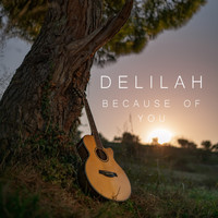 Delilah - Because of You