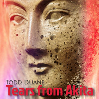 Todd Duane - Tears from Akita (Instrumental)