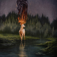 Dirtwire - Embers