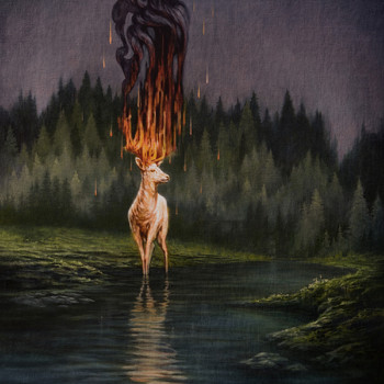 Dirtwire - Embers