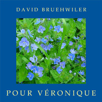 David Bruehwiler - Pour Véronique