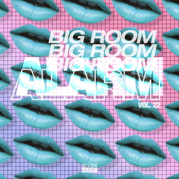 Various Artists - Big Room Alarm, Vol. 22