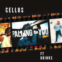 Cellus - Falling for You (feat. Brinks)