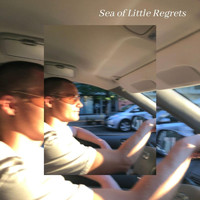 Dylan Debiase - Sea of Little Regrets