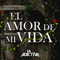 La Adictiva Banda San José de Mesillas - El Amor de Mi Vida
