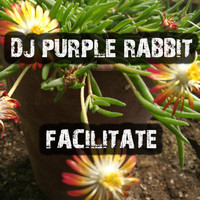 Dj Purple Rabbit - Facilitate