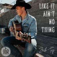 Zach Top - Like It Ain't No Thing
