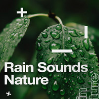 Deep Sleep - Rain Sounds Nature