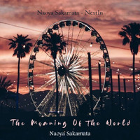 Naoya Sakamata - The Meaning of the World (Healing Piano Music)