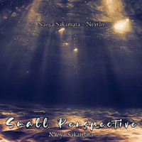 Naoya Sakamata - Small Perspective (Emotional Bell)