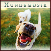 Beruhigende Musik für Hunde, Schlafende Musik für Hunde, Hundemusik - Hundemusik: Ambient-Musik für Hunde und Beste Haustiermusik