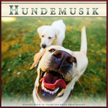 Beruhigende Musik für Hunde, Schlafende Musik für Hunde, Hundemusik - Hundemusik: Ambient-Musik für Hunde und Beste Haustiermusik