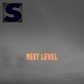 Various Artists - Next Level