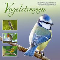 Anonymous - Vogelstimmen - Bird Songs