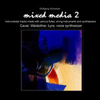 Wolfgang Schweizer - Mixed Media 2