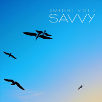 Savvy - Ambient, Vol. 2