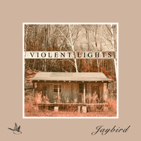 Jaybird - Violent Lights