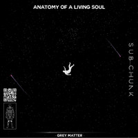 Sub Chunk - Grey Matter