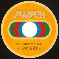 Lee "Shot" Williams - You Are My Dream