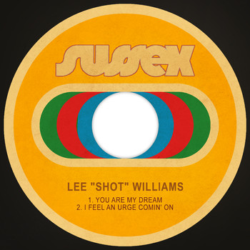 Lee "Shot" Williams - You Are My Dream