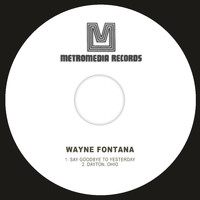Wayne Fontana - Say Goodbye to Yesterday