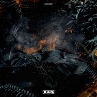 X&G - EMERGE
