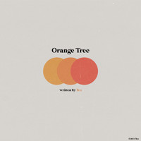 Teo - Orange Tree
