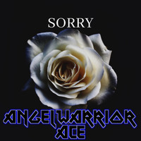 Angelwarrior Ace - Sorry