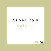 Silver Poly - Kalenji