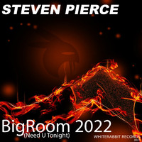 Steven Pierce - Bigroom 2022 (Need U Tonight)