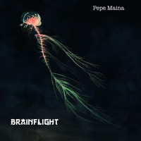 Pepe Maina - Brainflight