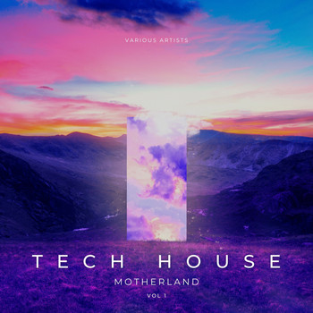 Various Artists - Tech House Motherland, Vol. 1