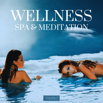 Various Artists - Wellness, Spa & Meditation, Vol. 2