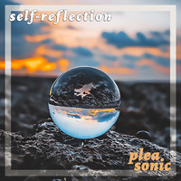 Pleasonic - Self-reflection