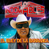 Los Indomables - El Buey de La Barranca