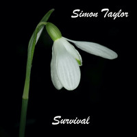 Simon Taylor - Survival