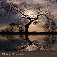 Plateau 99 - Evolve